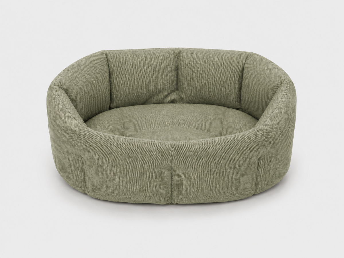 Travel Carrier green