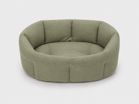 Travel Carrier green